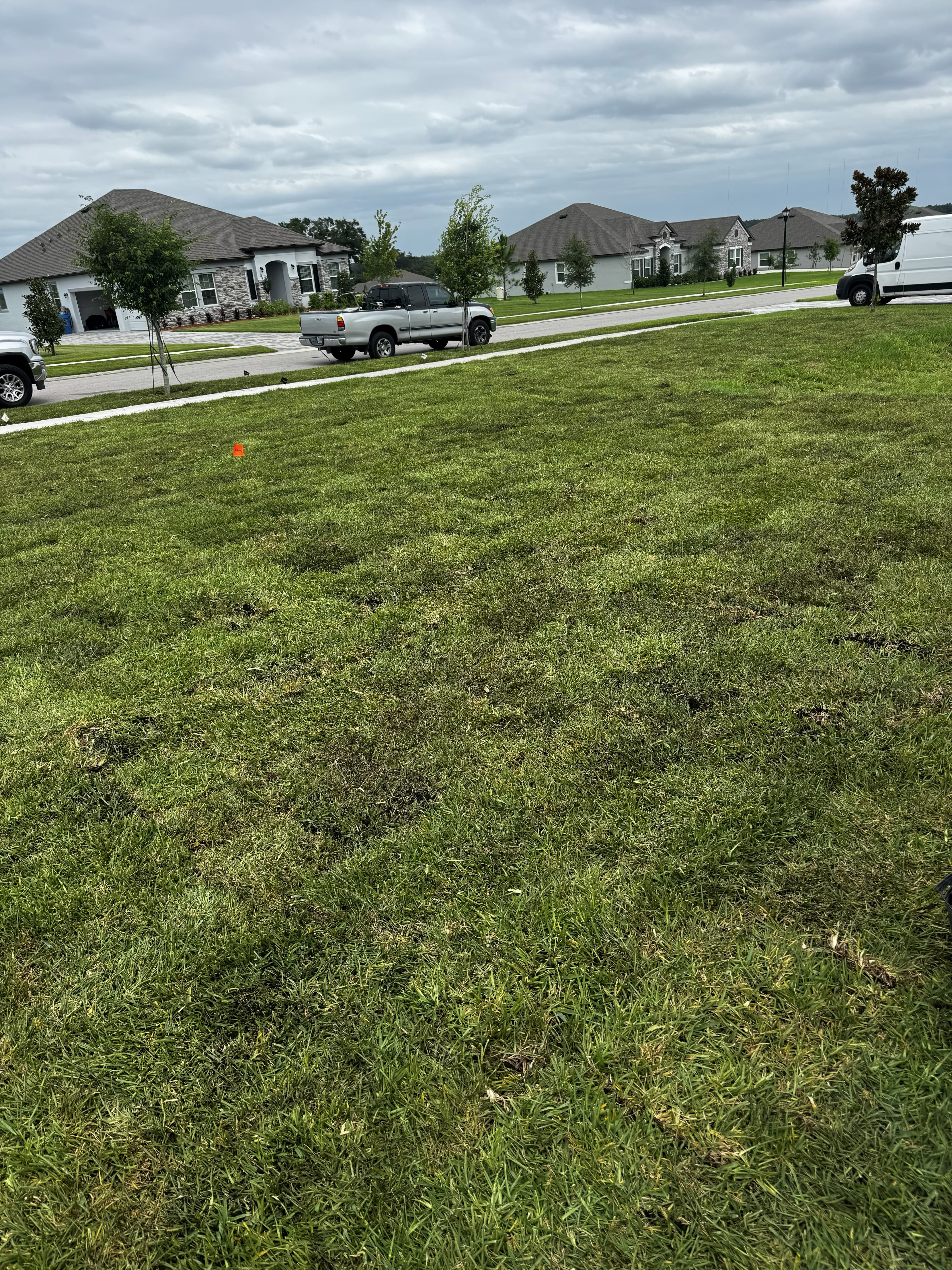 General Sod Tampa backyard patio and lawn finish