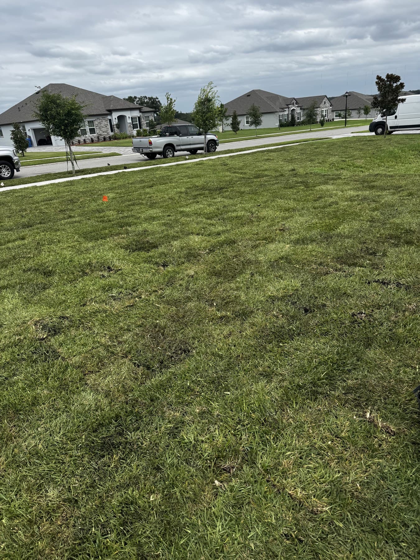 General Sod Tampa backyard lawn and patio transformation