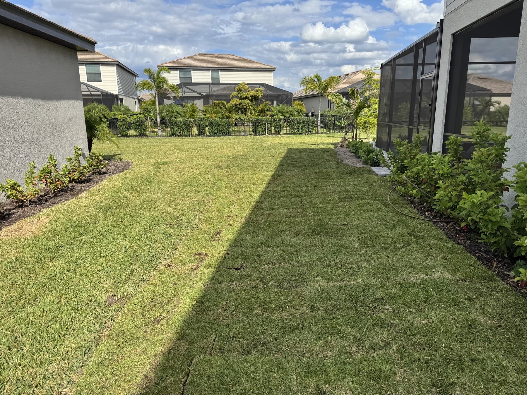 Replace patchy grass with instant curb appeal.