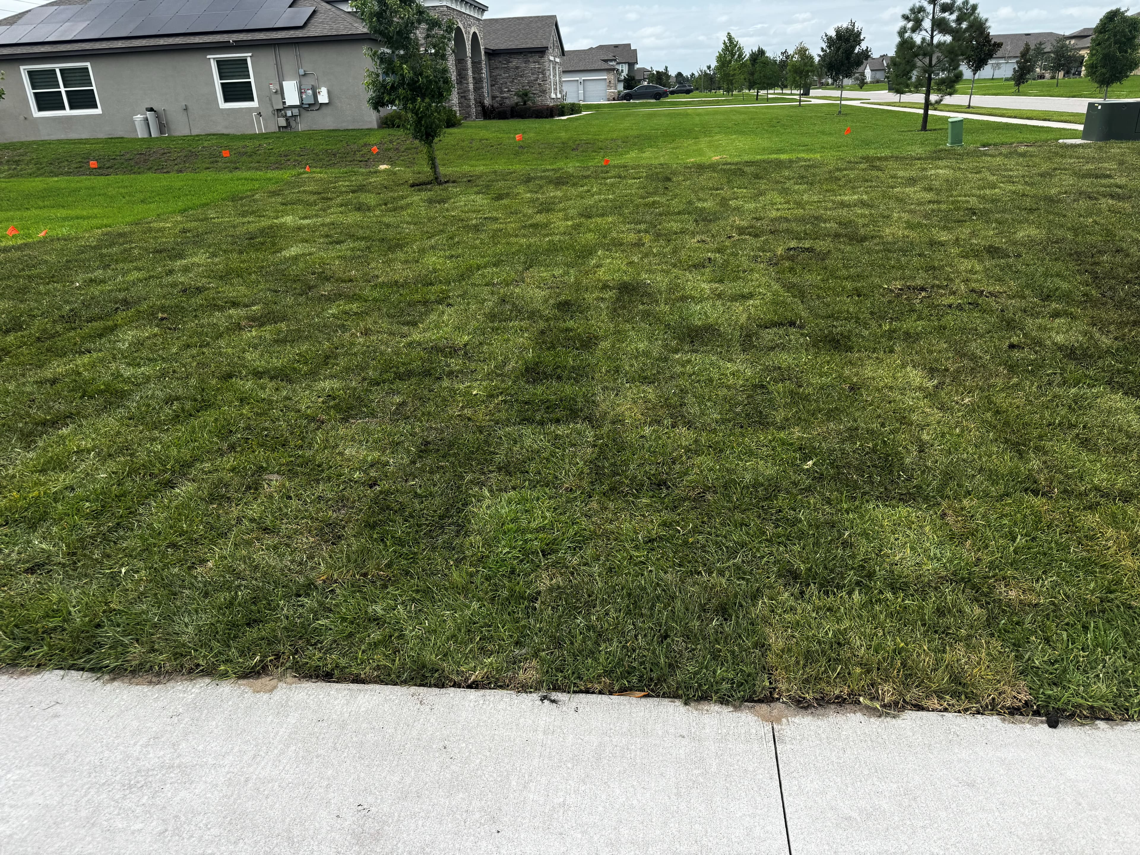 General Sod Tampa finished front-yard lawn with curb appeal