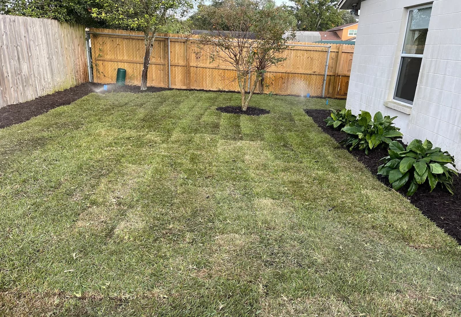 General Sod Tampa sod installation project in Tampa Bay