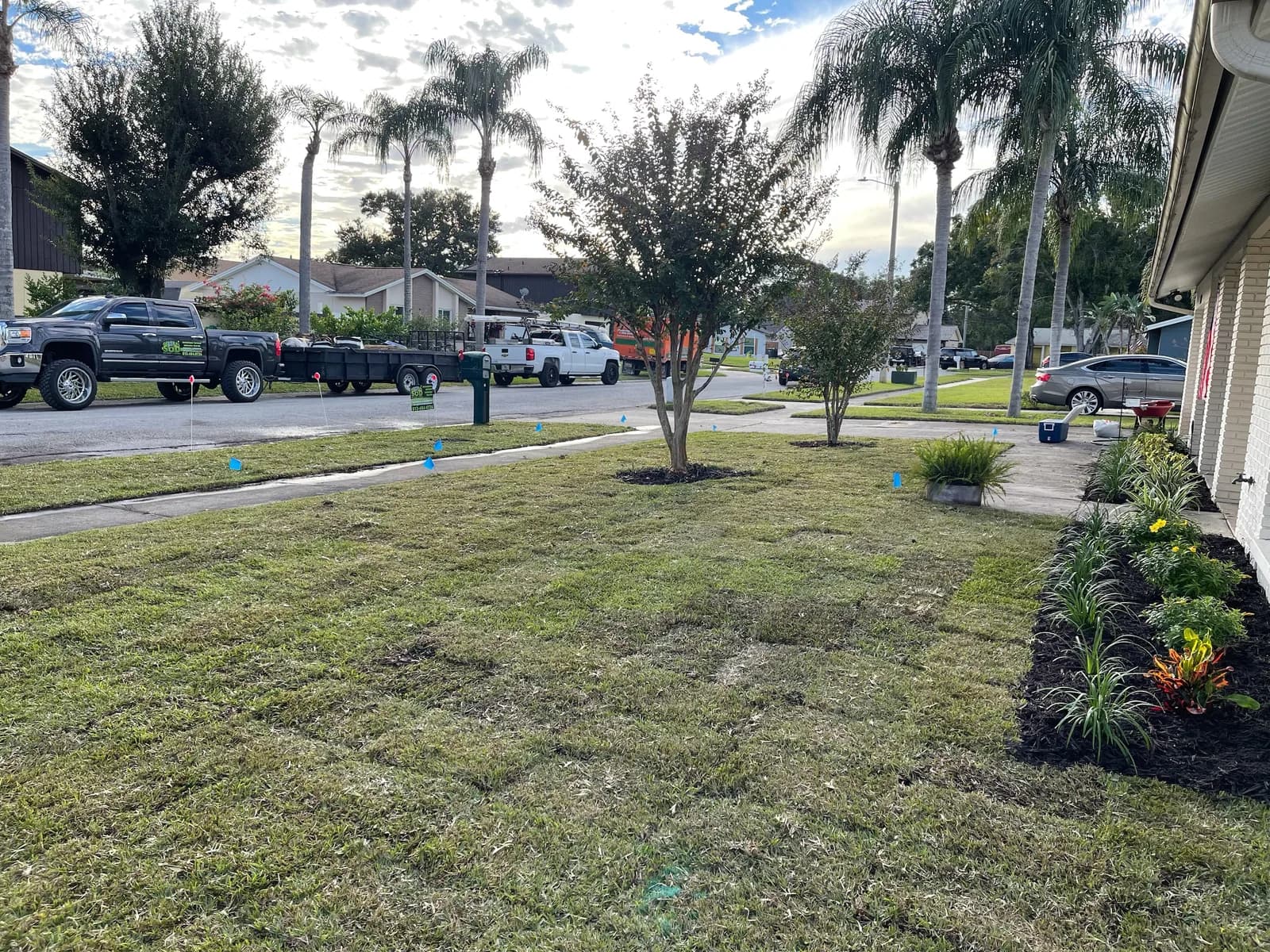 General Sod Tampa project with trucks on site