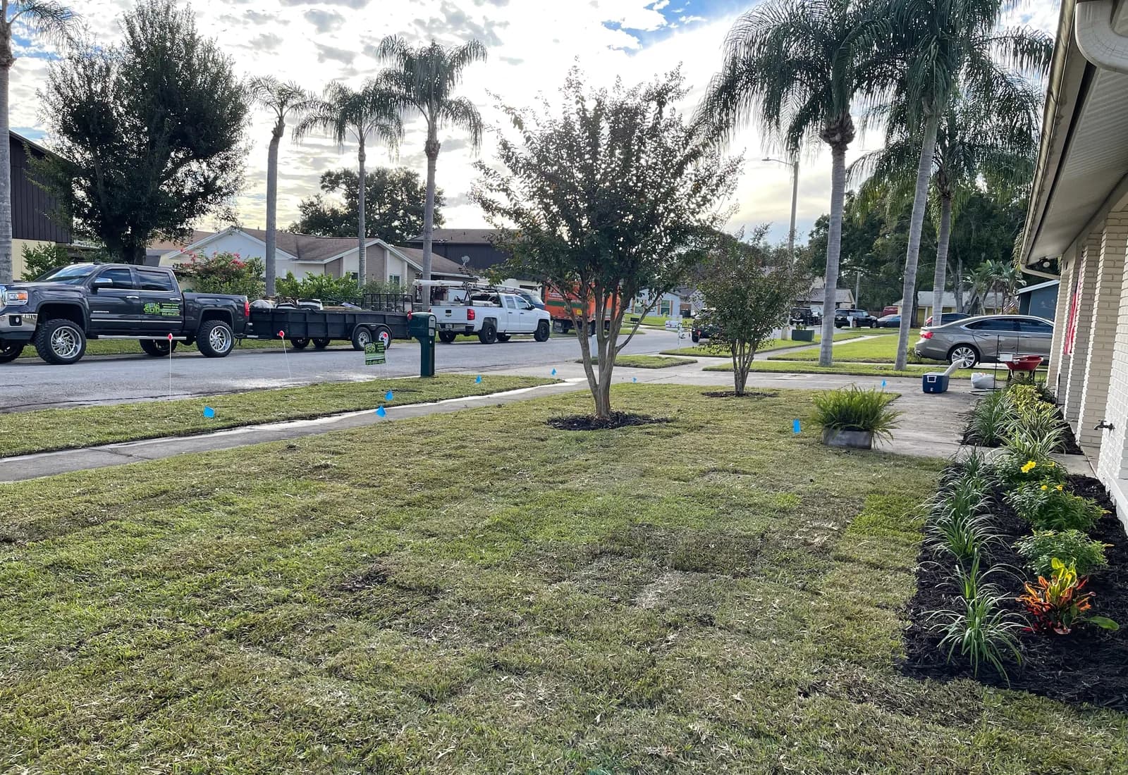 General Sod Tampa sod installation project in Tampa Bay