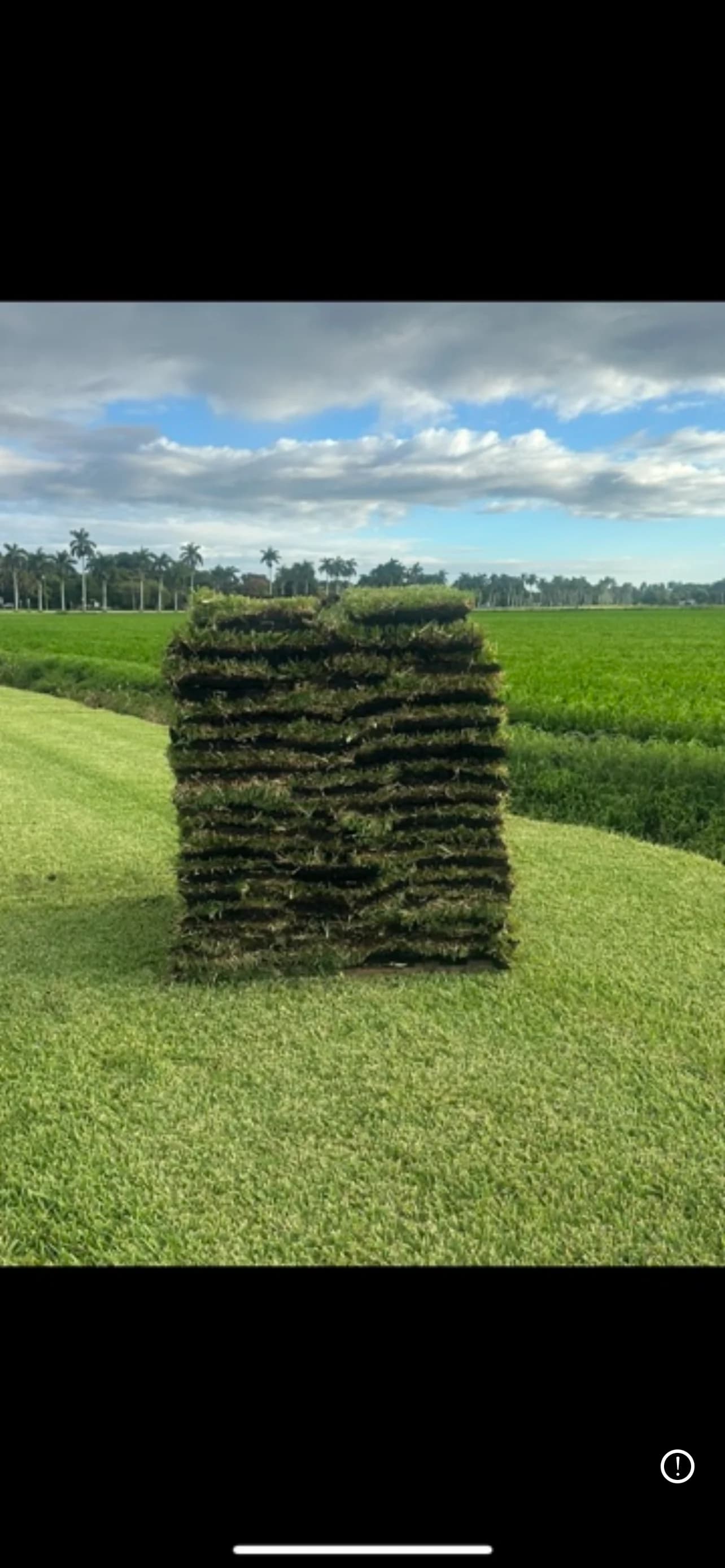 Valrico Sod Installation & Replacement