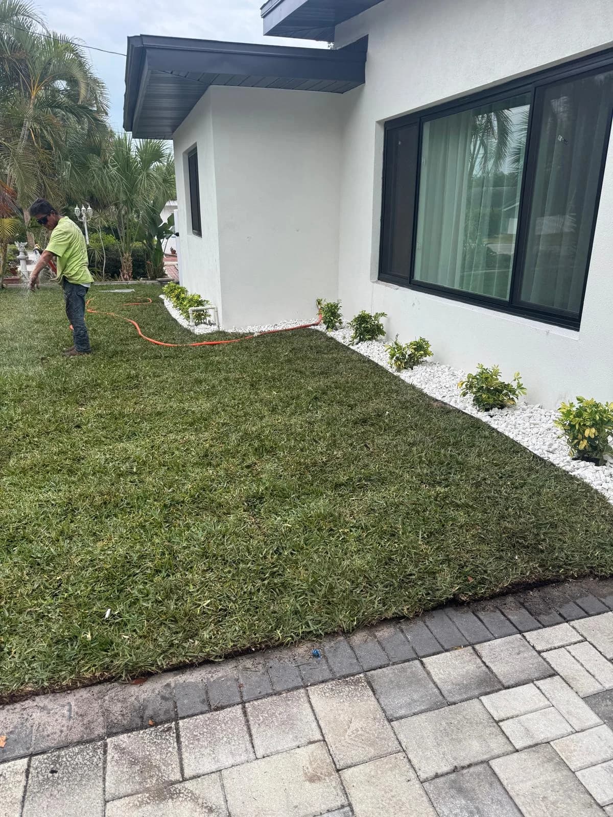 Landscape Cleanup