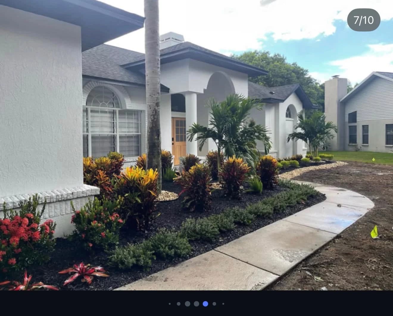 Which Sod Is Best for Tampa?