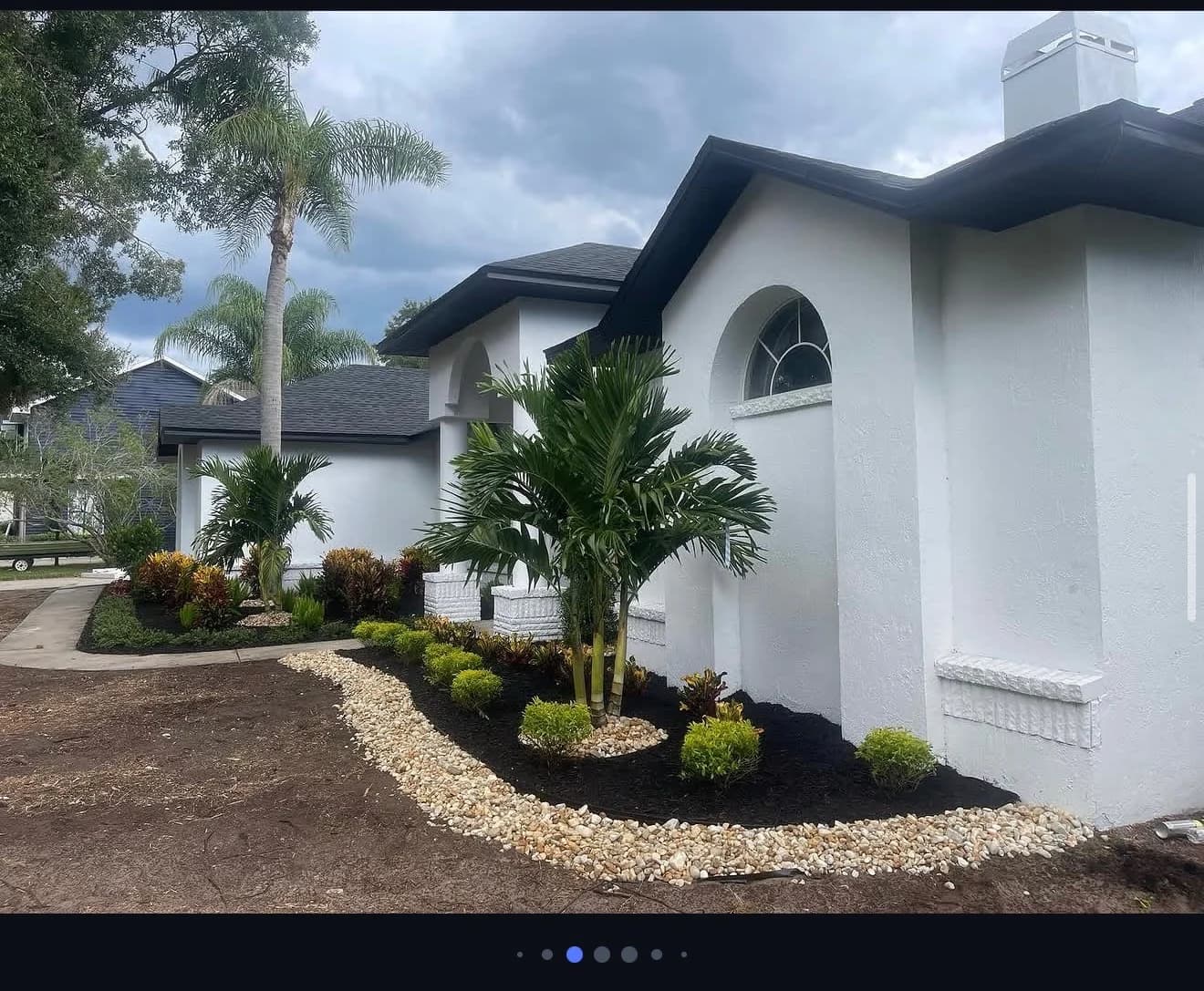 Should I Repair or Replace My Lawn?