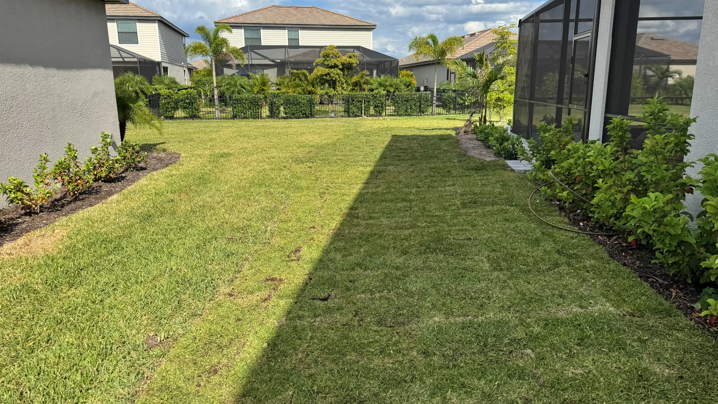 Finished General Sod Tampa lawn and property in Tampa Bay