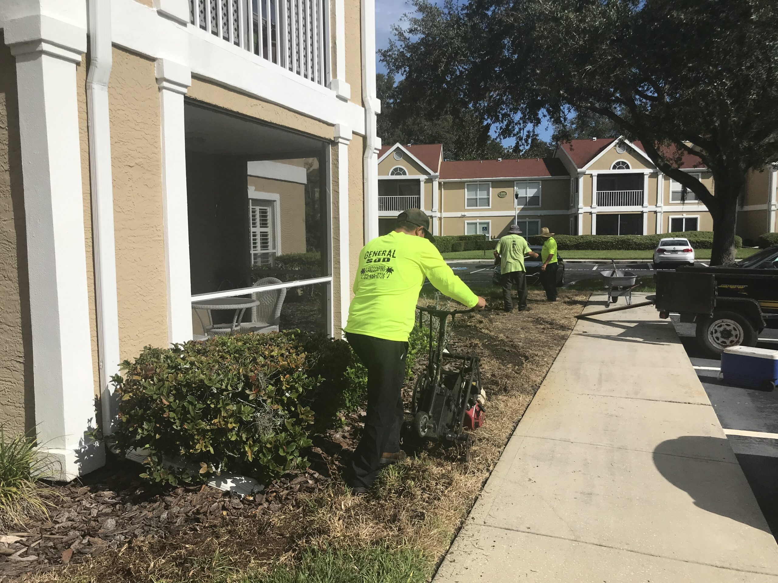 Eco-friendly sod installation team in Tampa